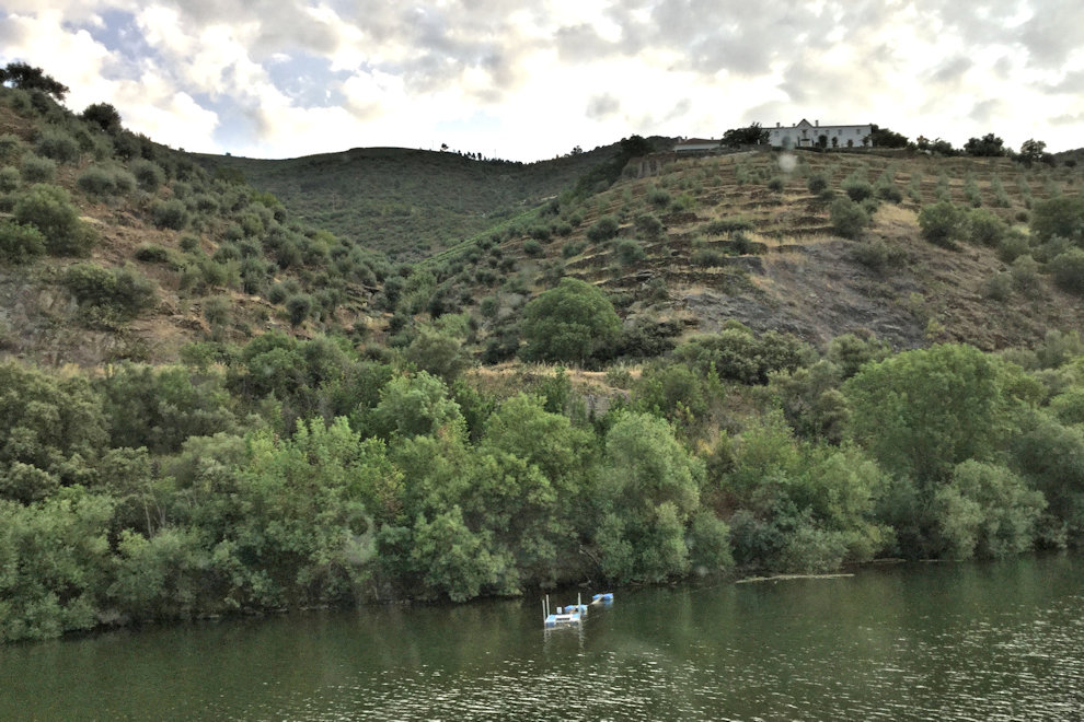 Hilltop Quinta     photograph